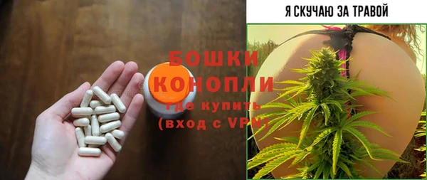 шишки Наволоки