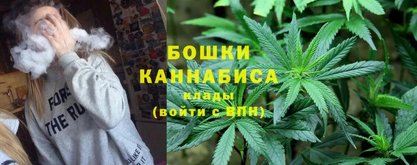 шишки Наволоки