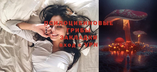 мдпв Магас
