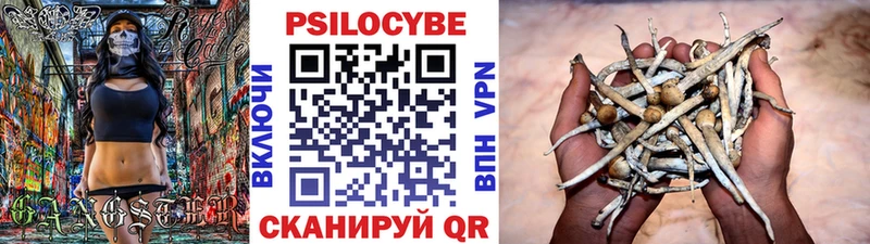 MEGA вход  Каменка  Галлюциногенные грибы Psilocybe 
