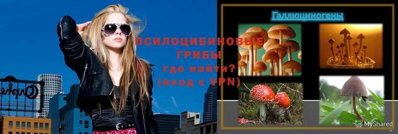 Галлюциногенные грибы MAGIC MUSHROOMS  Каменка 