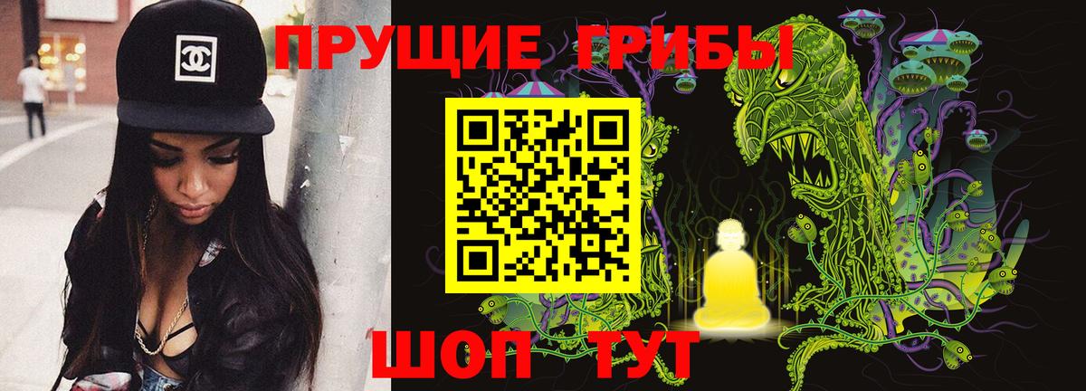 Галлюциногенные грибы ЛСД Каменка