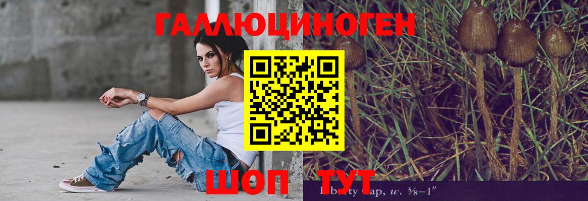 Галлюциногенные грибы Psilocybe Каменка