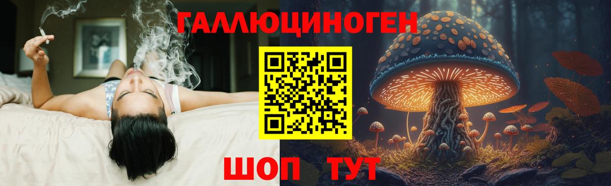 закладка  Галлюциногенные грибы GOLDEN TEACHER  Вход с VPN  Псилоцибиновые грибы мухоморы  Каменка 